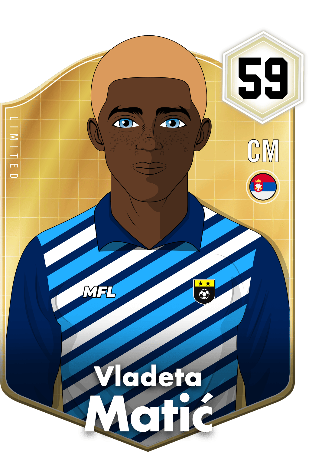 Vladeta Matić asset