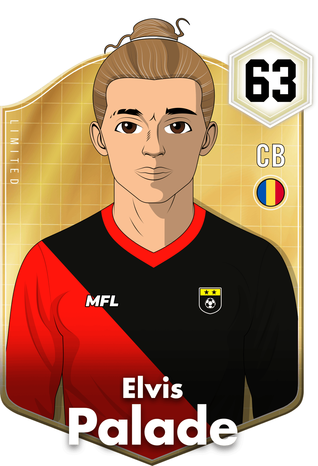 Elvis Palade asset