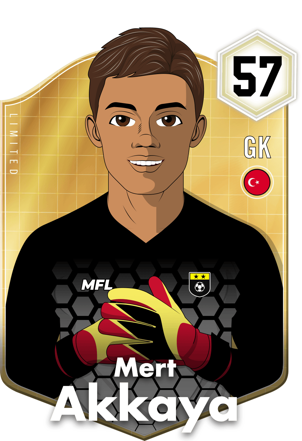 Mert Akkaya asset