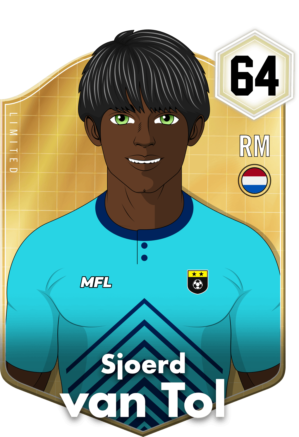 Sjoerd van Tol asset