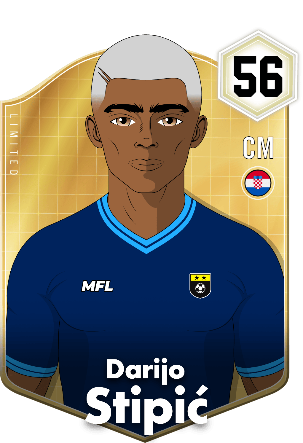 Darijo Stipić asset