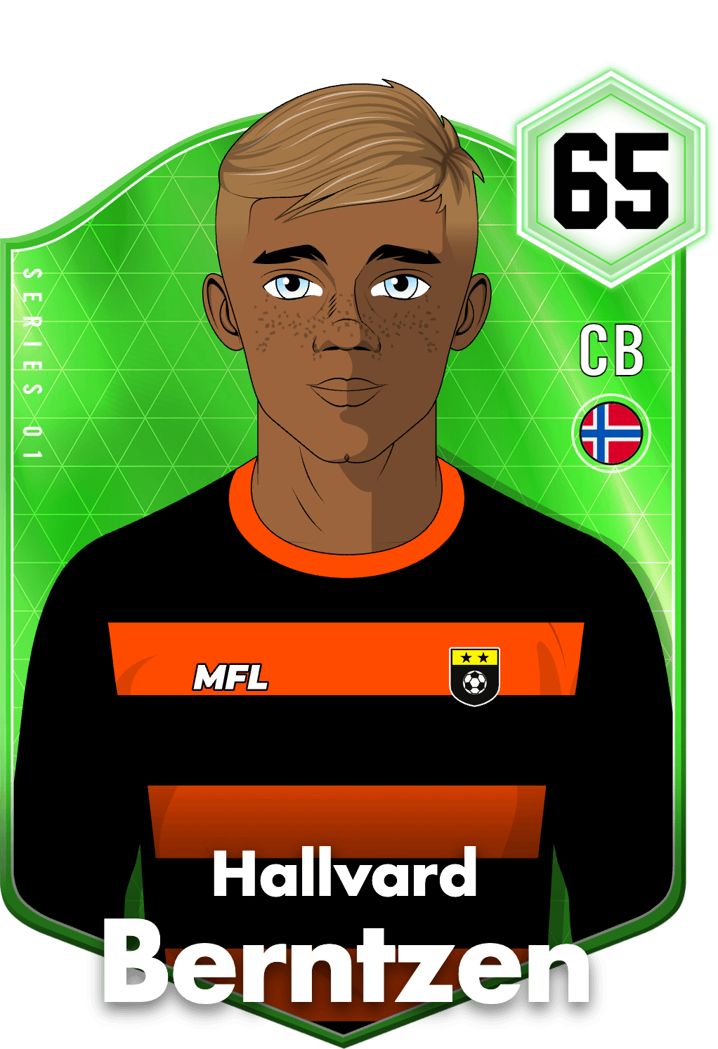 Hallvard Berntzen asset