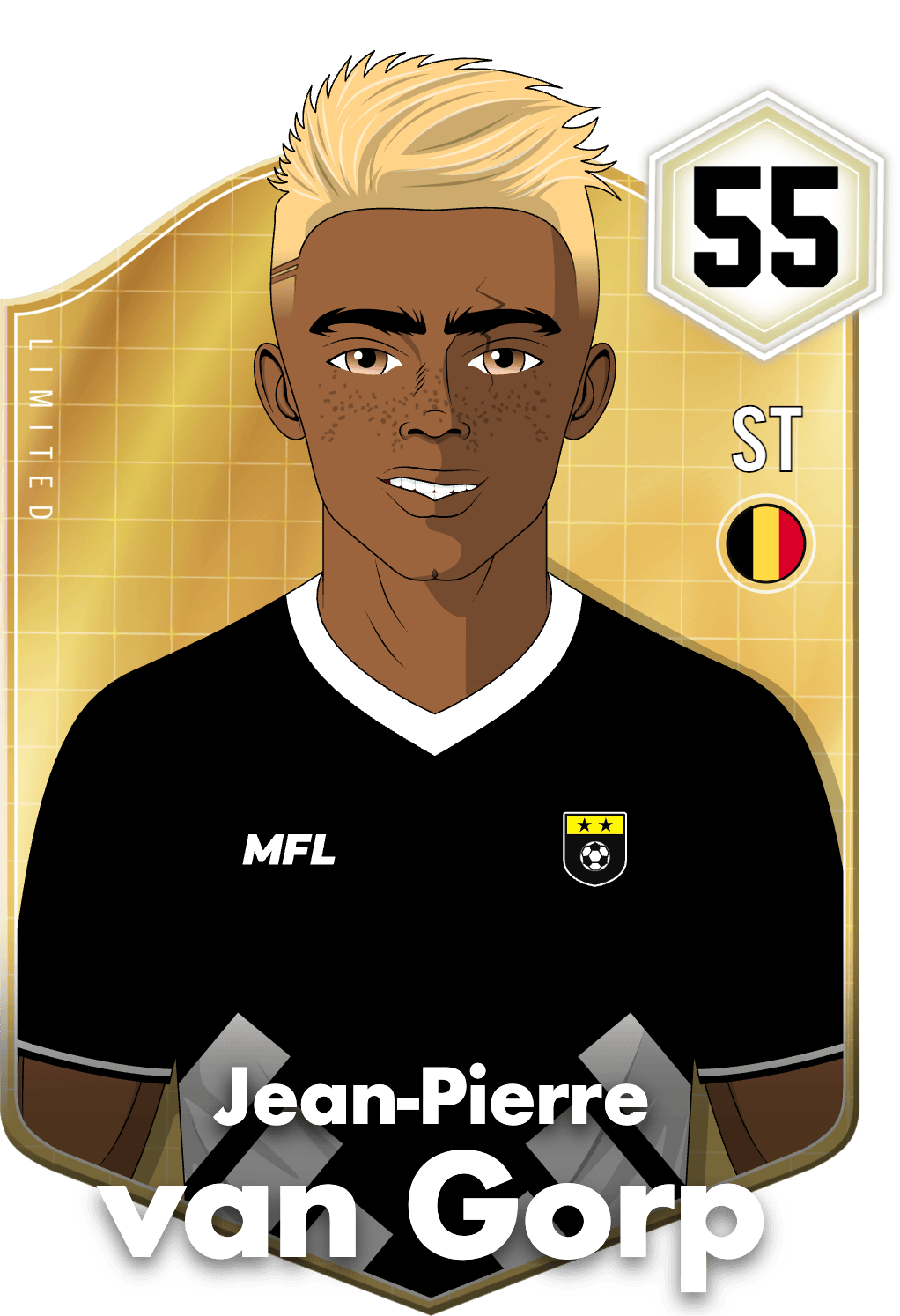 Jean-Pierre van Gorp asset