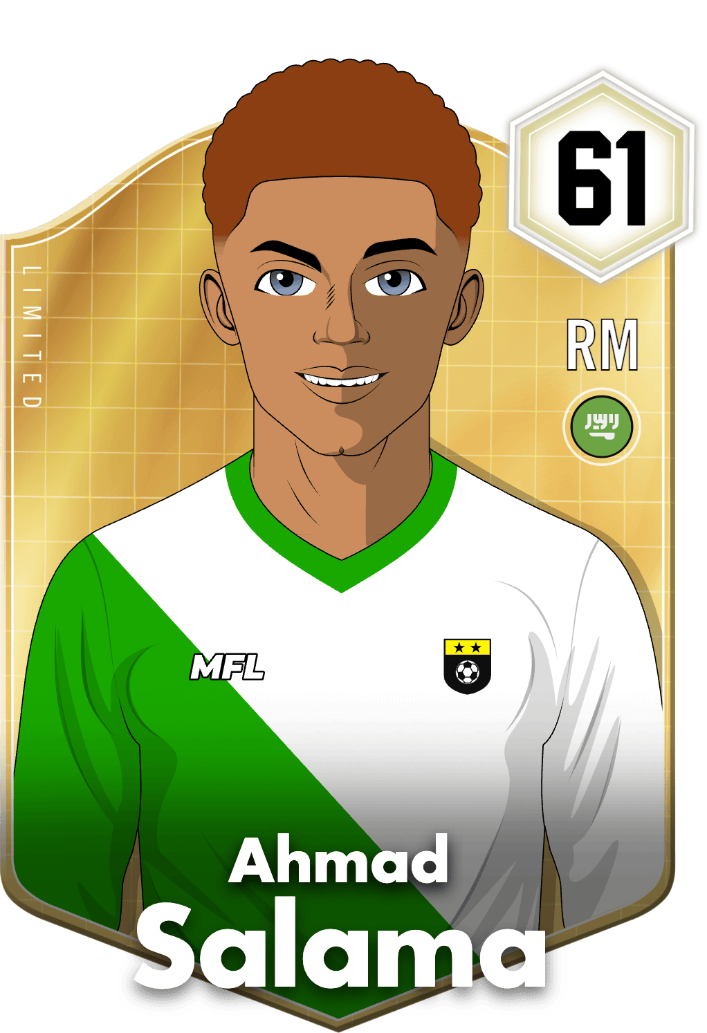 Ahmad Salama asset