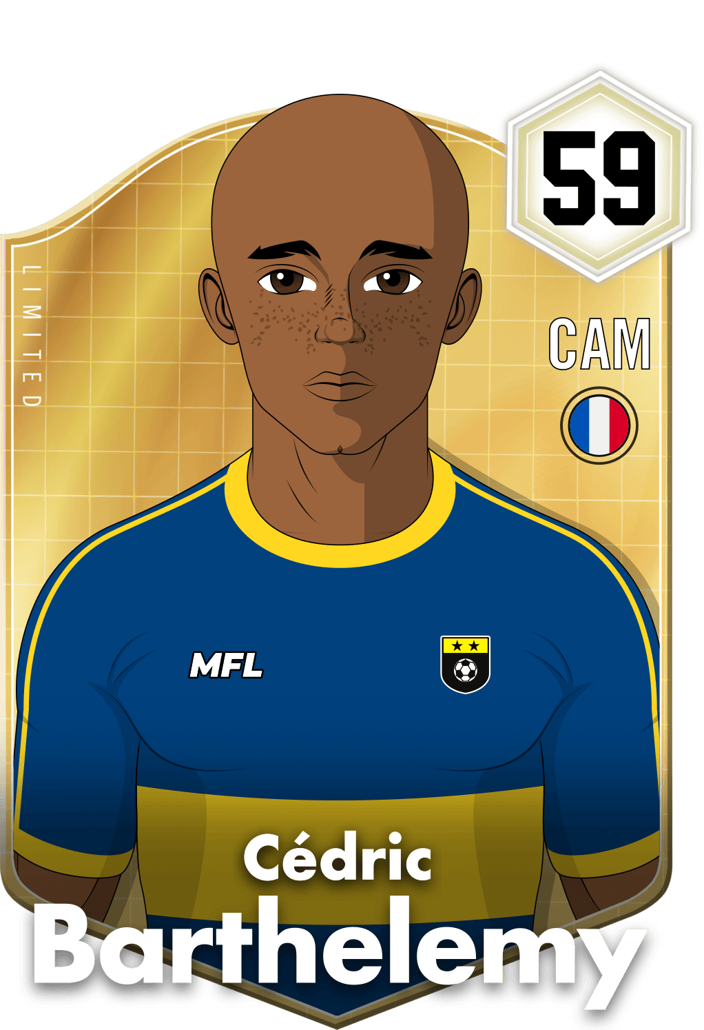 Cédric Barthelemy asset