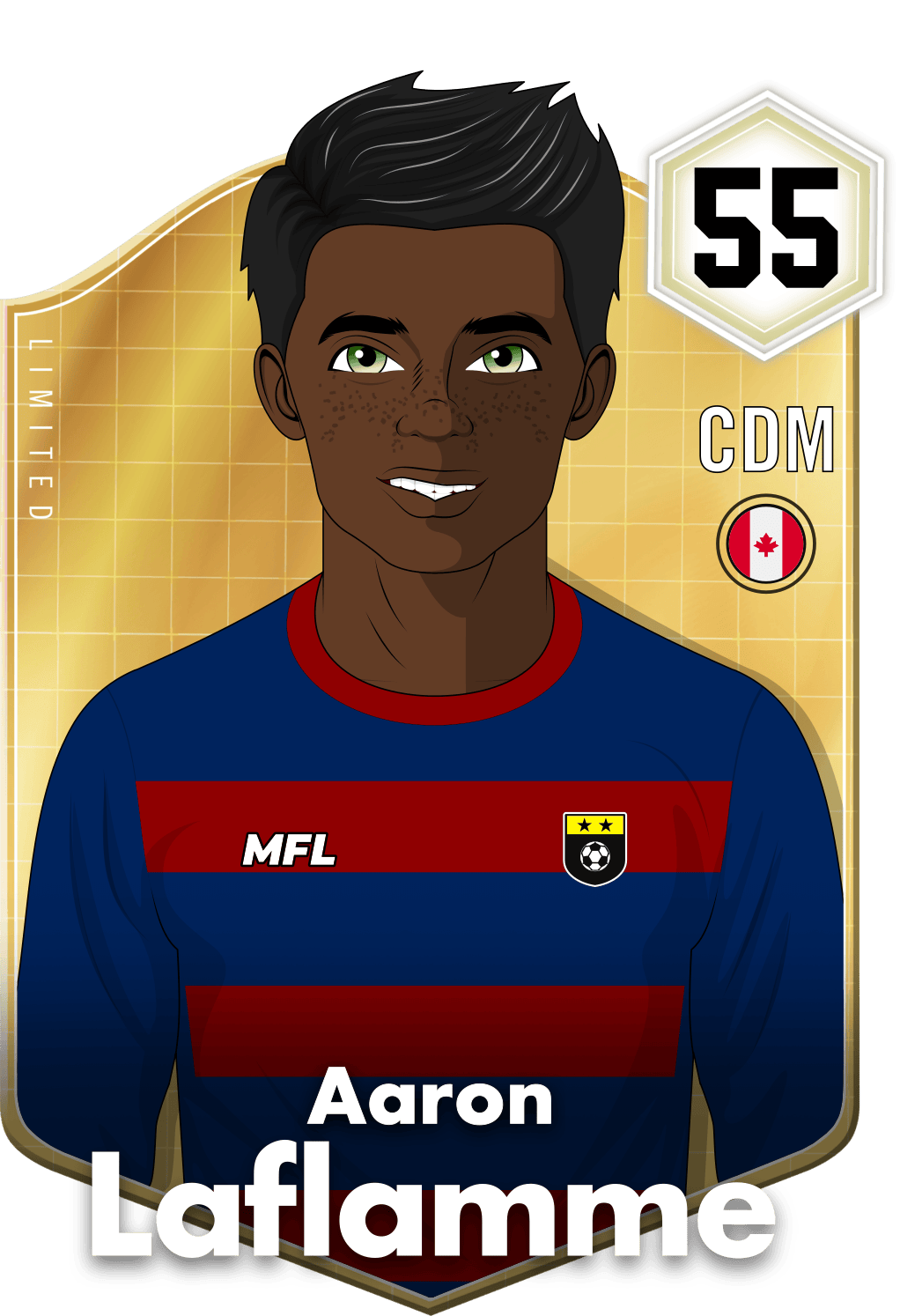 Aaron Laflamme asset
