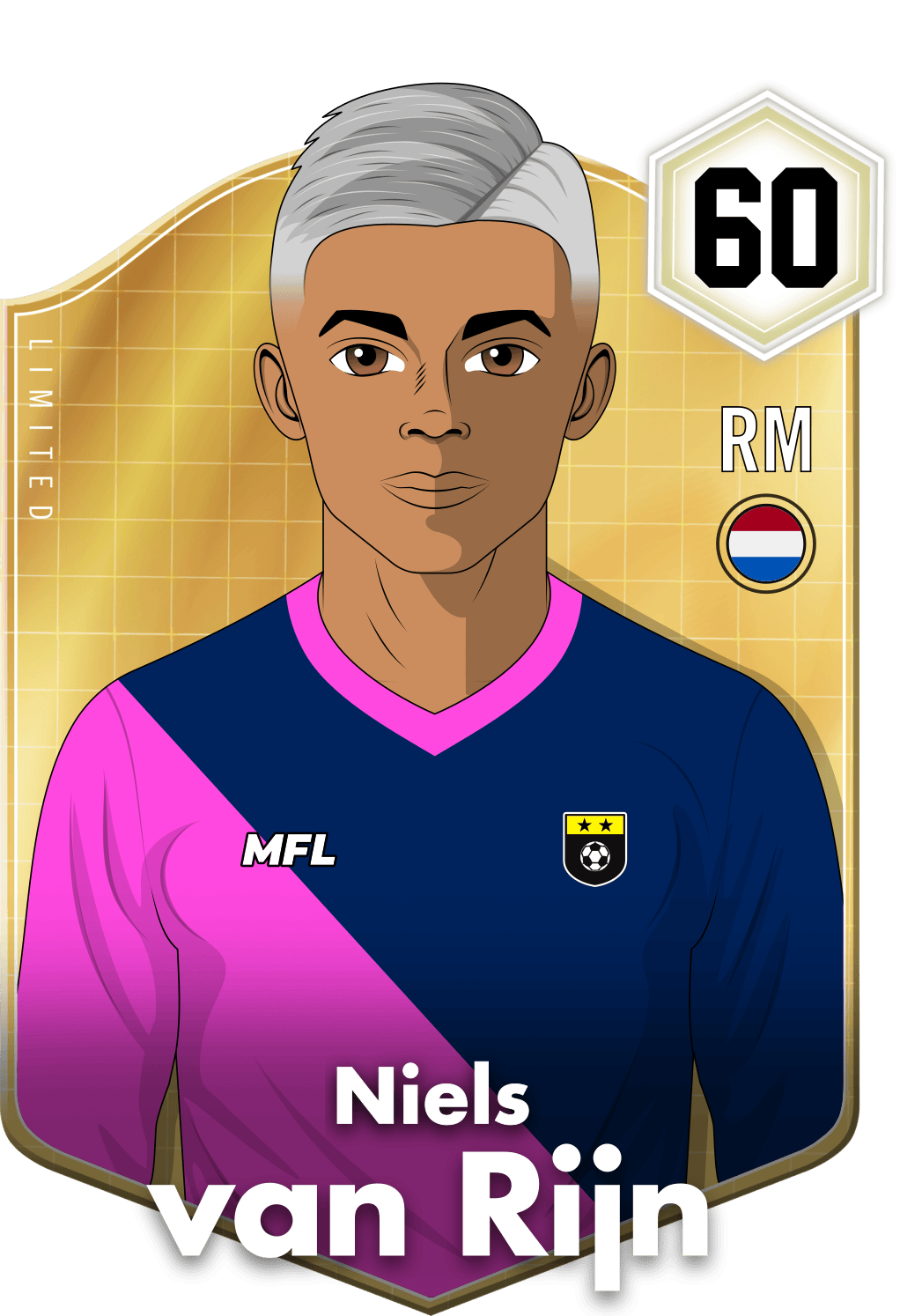 Niels van Rijn asset