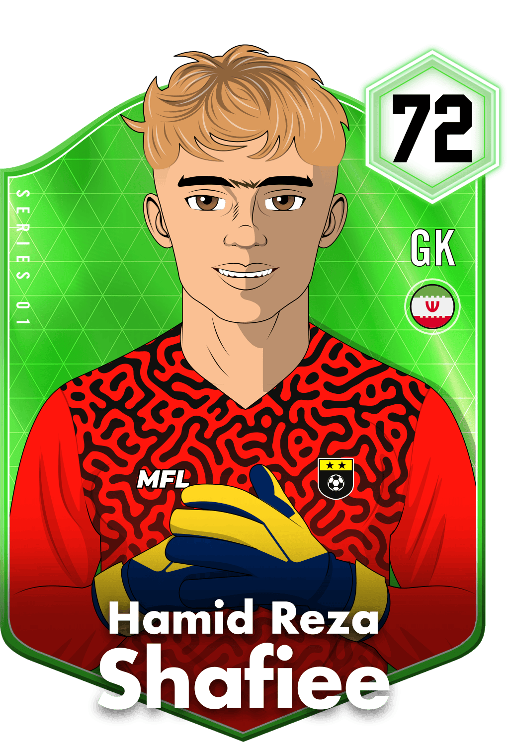 Hamid Reza Shafiee asset