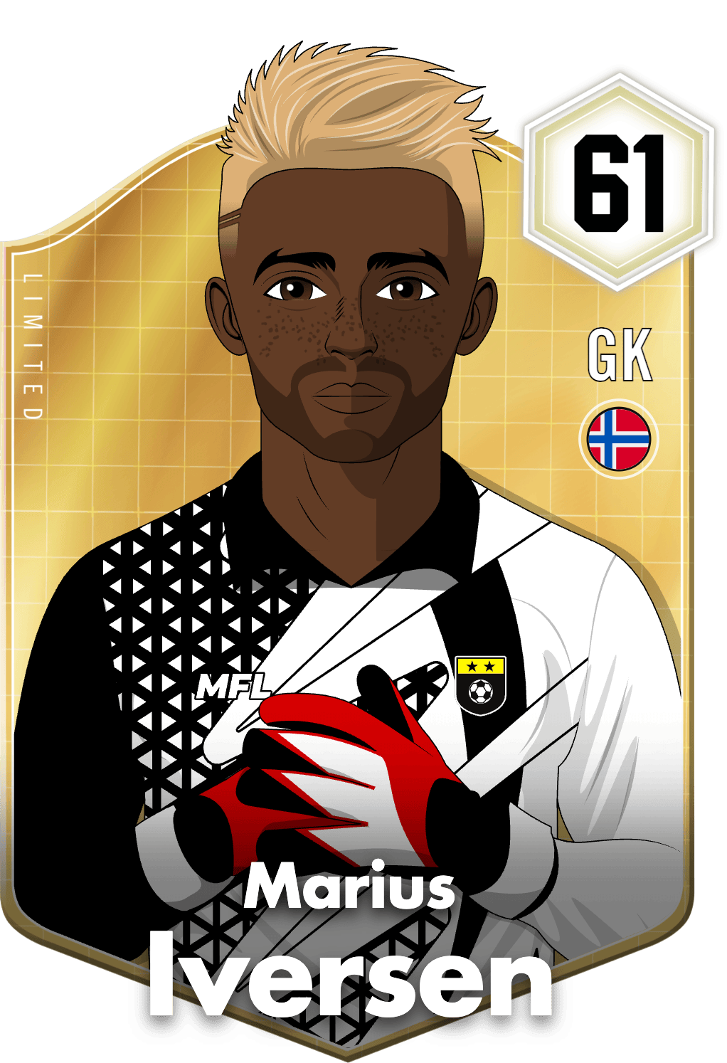 Marius Iversen asset