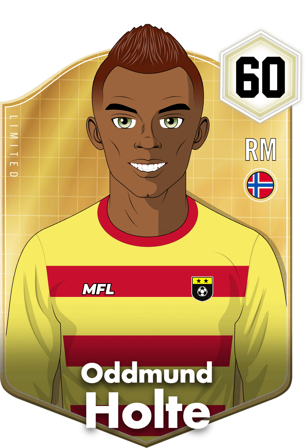 Oddmund Holte asset