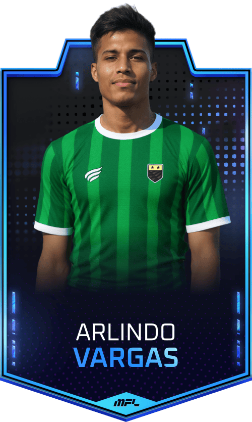 Arlindo Vargas asset