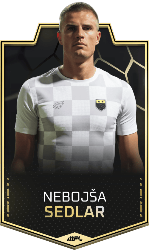 Nebojša Sedlar asset