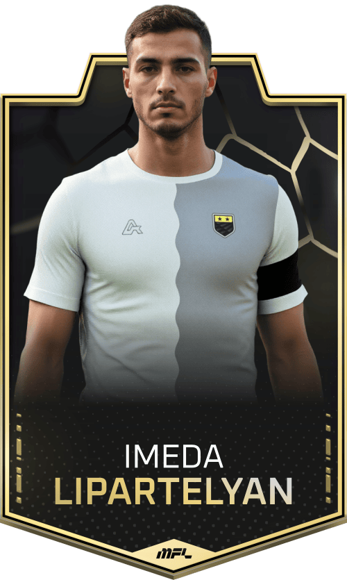 Imeda Lipartelyan asset