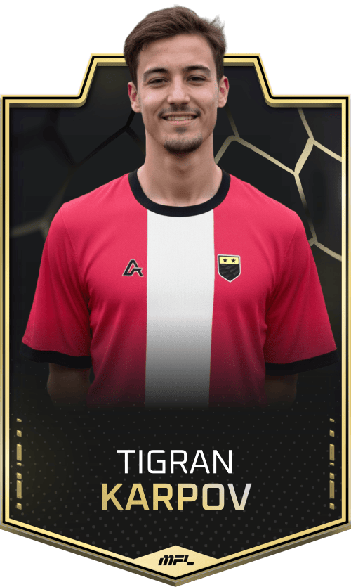 Tigran Karpov asset