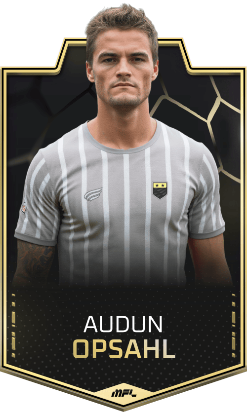 Audun Opsahl asset
