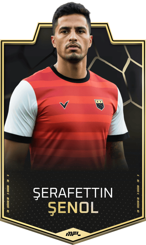 Şerafettin Şenol asset