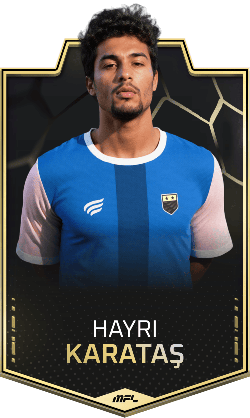 Hayri Karataş asset