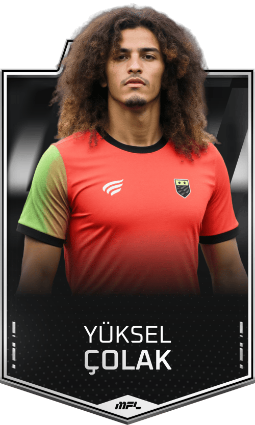 Yüksel Çolak asset
