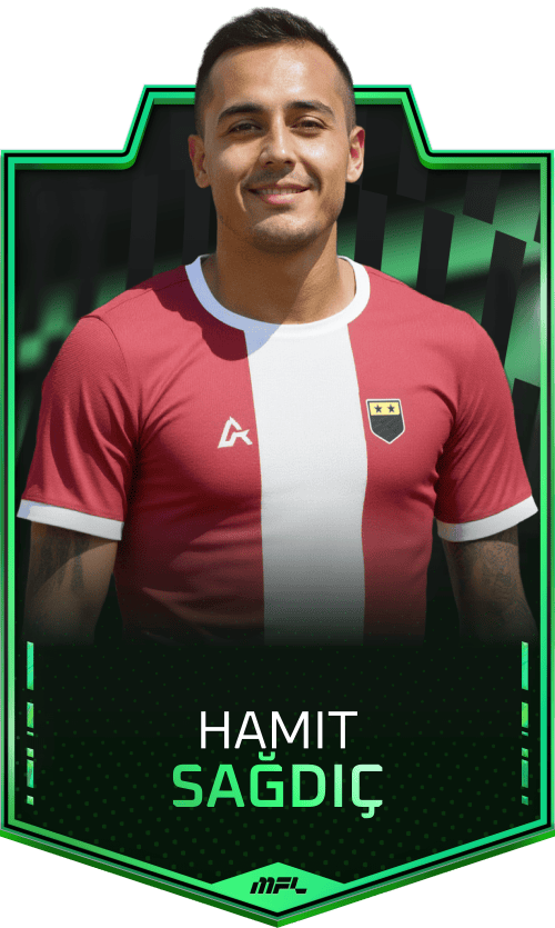 Hamit Sağdiç asset