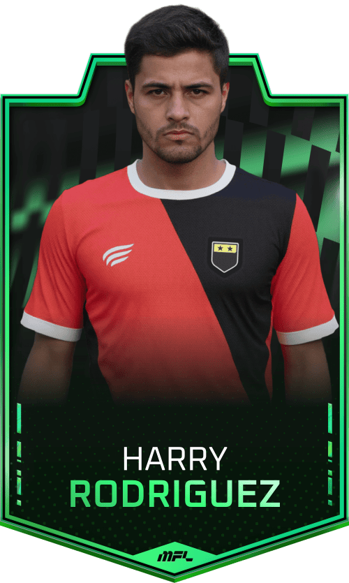 Harry Rodriguez asset