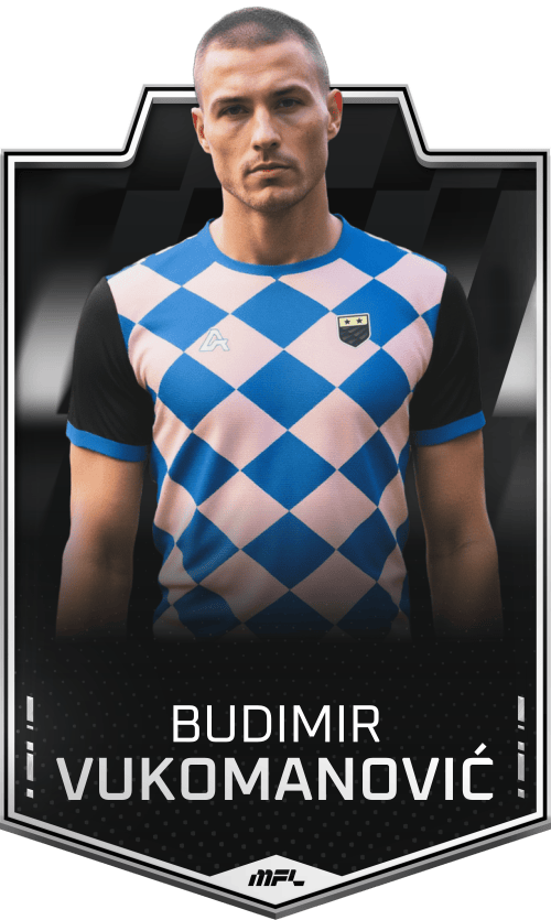 Budimir Vukomanović asset