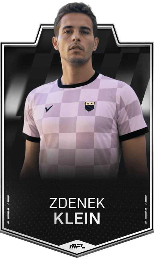 Zdenek Klein asset