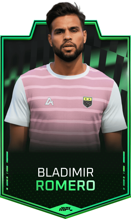 Bladimir Romero asset
