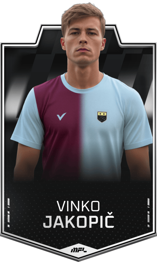 Vinko Jakopič asset