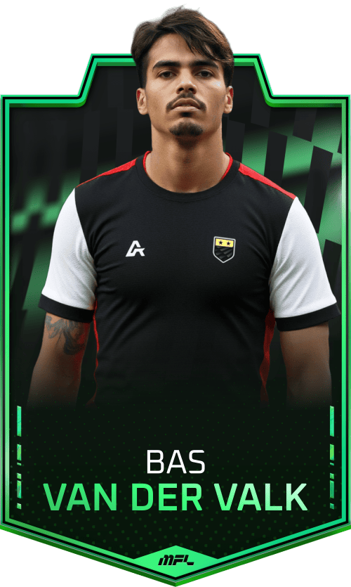 Bas van der Valk asset