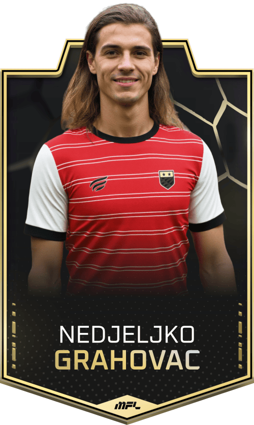 Nedjeljko Grahovac asset