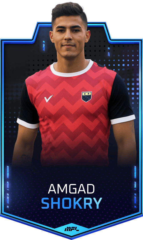 Amgad Shokry asset