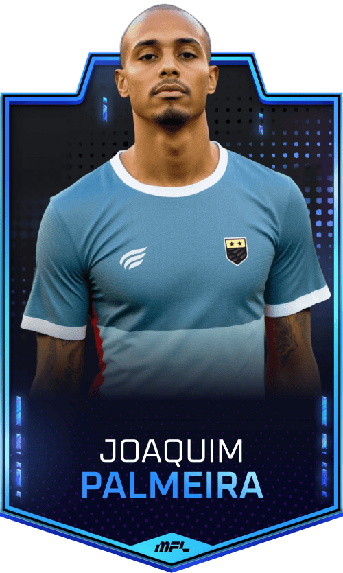 Joaquim Palmeira asset