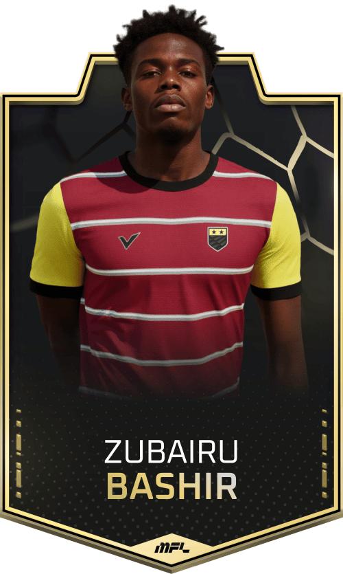 Zubairu Bashir asset