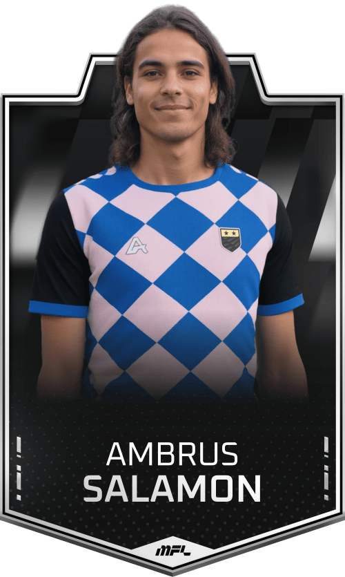 Ambrus Salamon asset