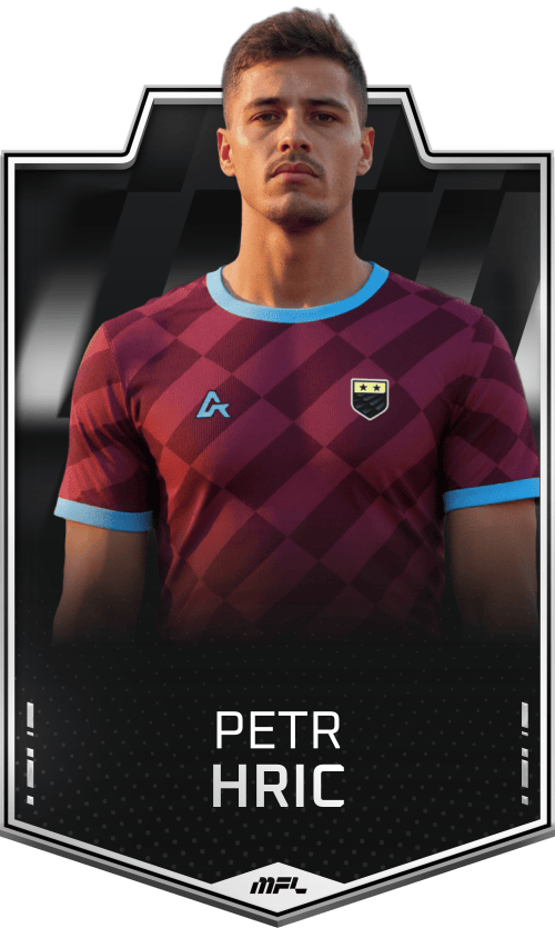 Petr Hric asset