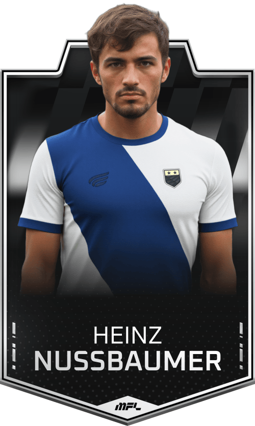 Heinz Nussbaumer asset
