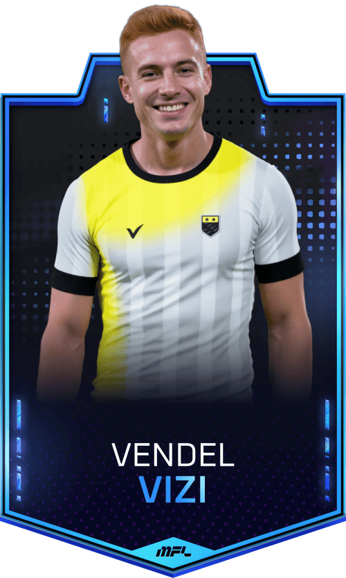 Vendel Vizi asset