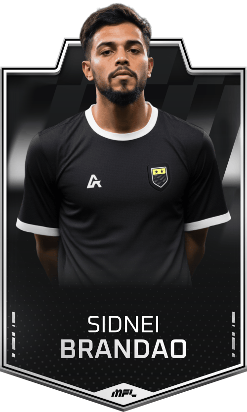 Sidnei Brandao asset