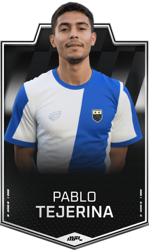 Pablo Tejerina asset