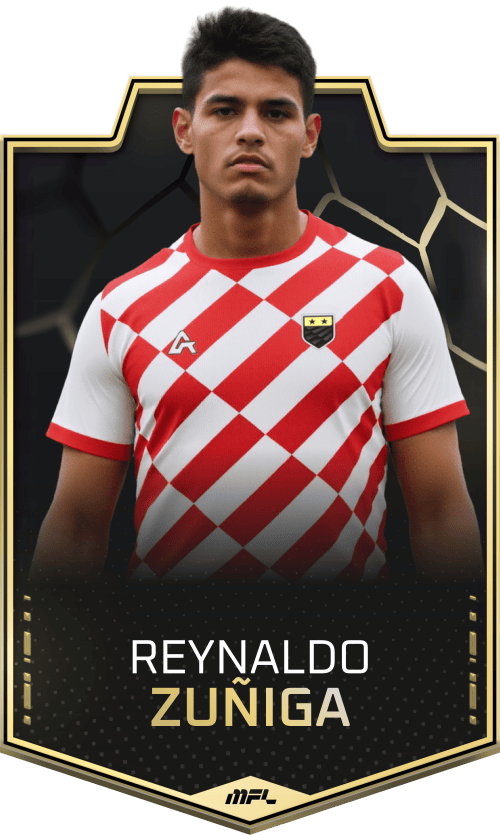 Reynaldo Zuñiga asset