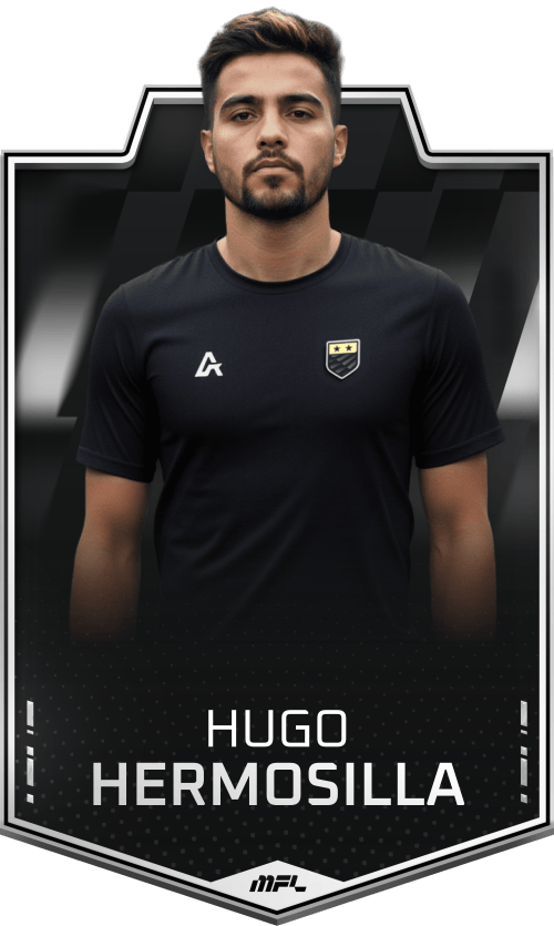 Hugo Hermosilla asset