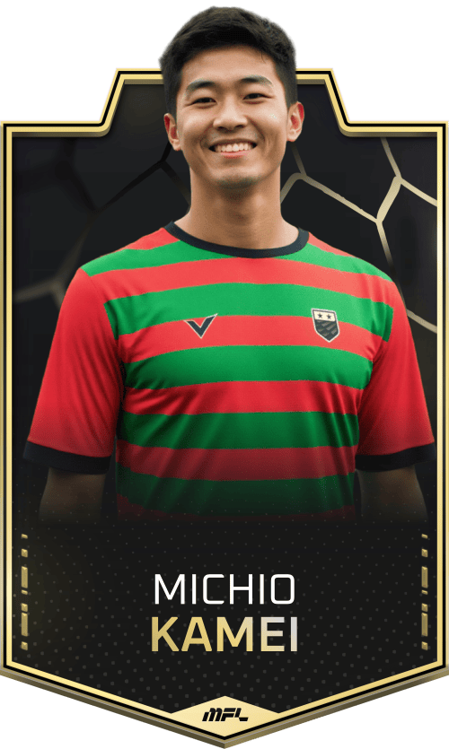 Michio Kamei asset