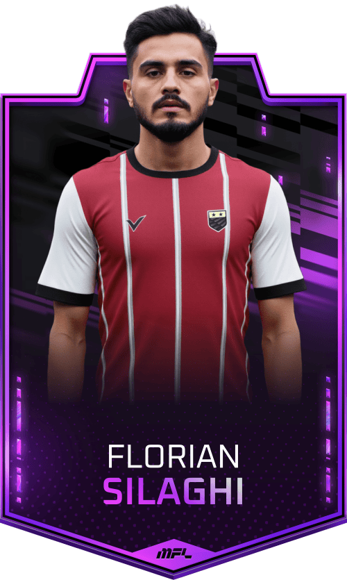 Florian Silaghi asset