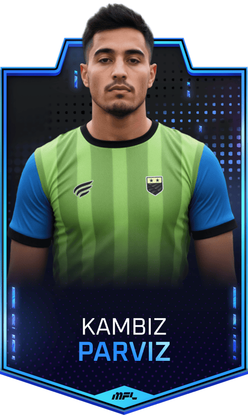 Kambiz Parviz asset
