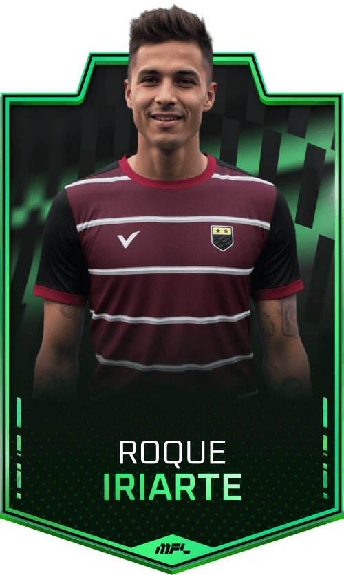 Roque Iriarte asset