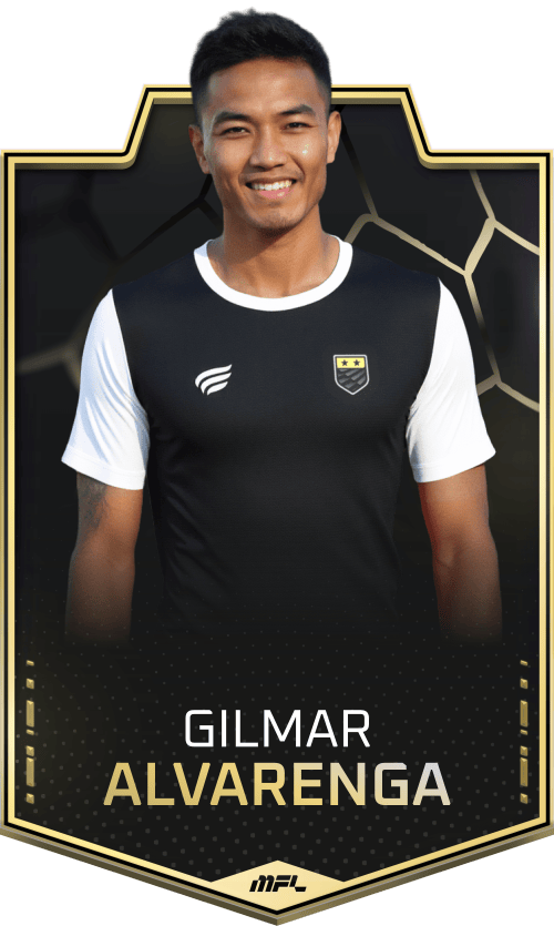 Gilmar Alvarenga asset