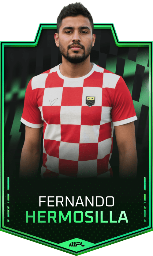 Fernando Hermosilla asset