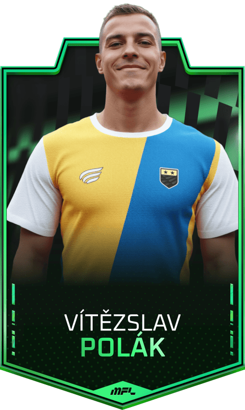 Vítězslav Polák asset