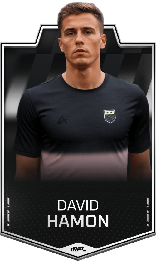 David Hamon asset