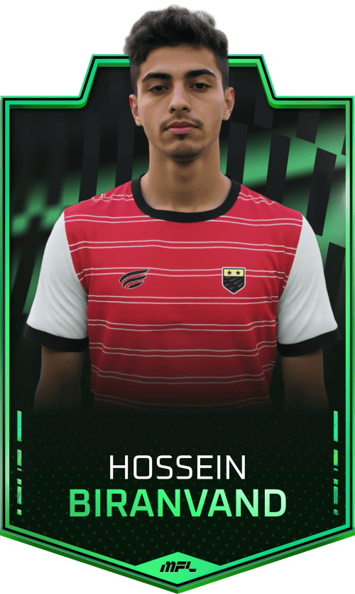 Hossein Biranvand asset